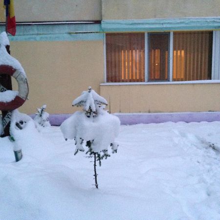 Apartament Slănic-Moldova Buitenkant foto